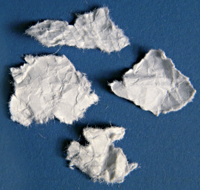 Kobra Cyclone Industrial Paper Shredder