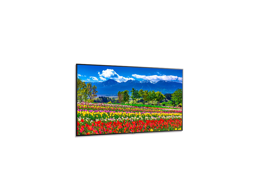 NEC M751-AVT3 75" UHD Professional Display with ATSC/NTSC Tuner