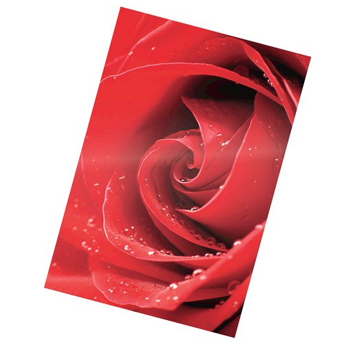 Fellowes Glossy Pouches - Picture, 3 mil, Pack of 25