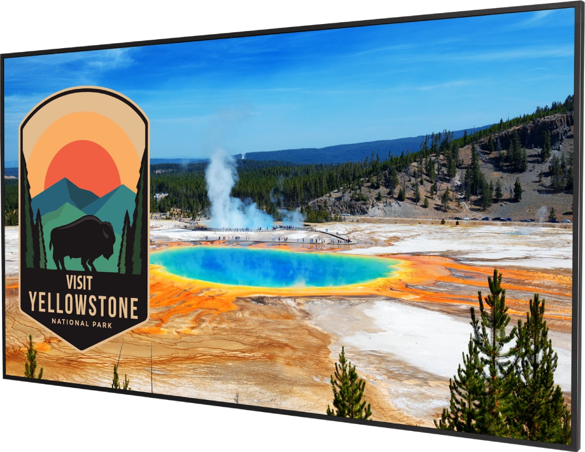 Planar M Series 50" 4K LCD Display