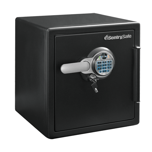 SentrySafe Biometric Fireproof and Waterproof Steel Home Safe - 1.23 Cubic Feet, 17.8 x 16.3 x 19.3 Inches, 85.49 lbs