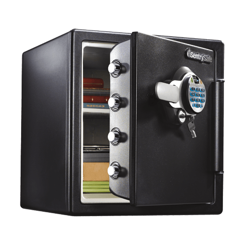 SentrySafe Biometric Fireproof and Waterproof Steel Home Safe - 1.23 Cubic Feet, 17.8 x 16.3 x 19.3 Inches, 85.49 lbs