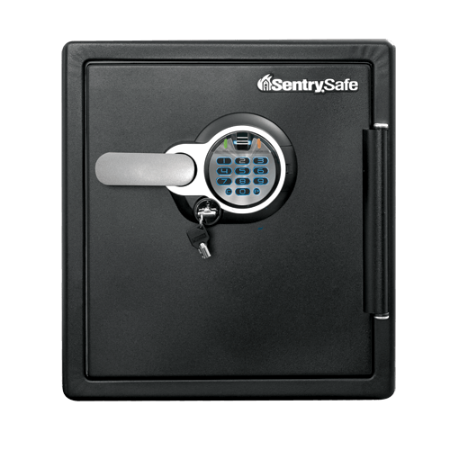 SentrySafe Biometric Fireproof and Waterproof Steel Home Safe - 1.23 Cubic Feet, 17.8 x 16.3 x 19.3 Inches, 85.49 lbs