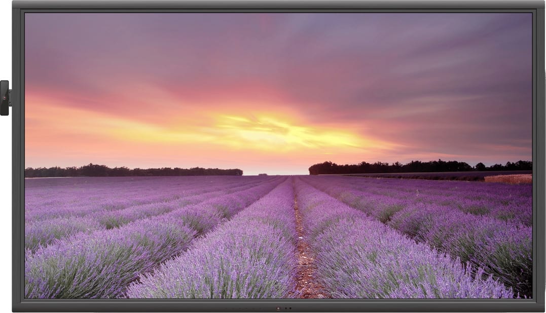 NewLine 980NT 98-inch Ultra-HD LED Display