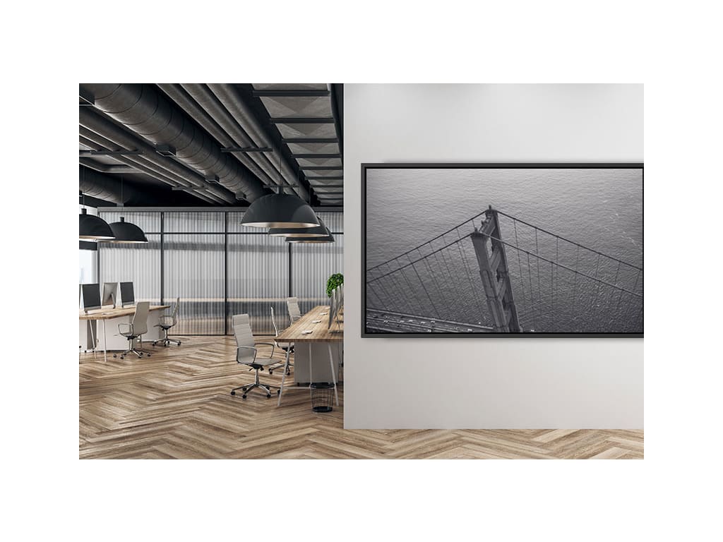 NewLine TT-6522NT-PLUS 65" 4K UHD Commercial Display - NewLine TT-6522NT-PLUS 65" Commercial Display