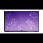 Promethean AP7E-U86-NA-1 86" Nickel Interactive Flat Panel Display Bundle