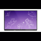 Promethean AP7E-U86-NA-1 86" Nickel Interactive Flat Panel Display Bundle