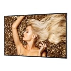 BenQ SL4302K - 43" Smart Signage Display