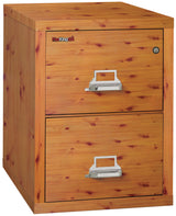 FireKing Designer Series 25" Vertical File Cabinet (1-Hour Fire-Rated & High Security)