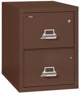 FireKing Safe-in-a-File Vertical Cabinet (1-Hour Fire Rated)