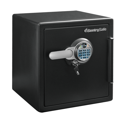 SentrySafe Biometric Fireproof and Waterproof Steel Home Safe -  1.23 Cubic Feet, 17.8 x 16.3 x 19.3 Inches, 85.49 lbs