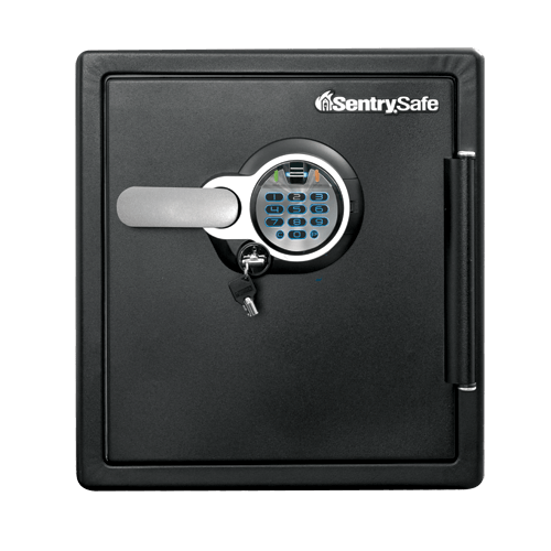 SentrySafe Biometric Fireproof and Waterproof Steel Home Safe -  1.23 Cubic Feet, 17.8 x 16.3 x 19.3 Inches, 85.49 lbs