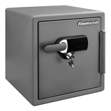 SentrySafe Fireproof and Waterproof Steel Home Safe - 1.19 Cubic Feet, 17.8 x 16.3 x 19.3 Inches